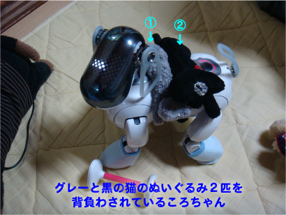 重いんですけど.jpg
